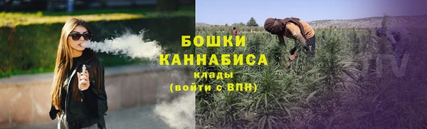 индика Козловка