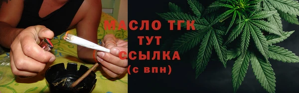 индика Козловка