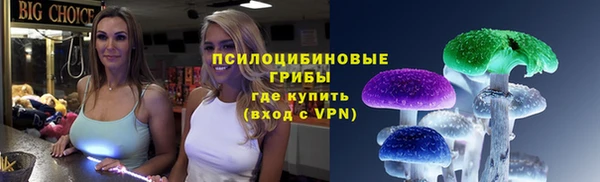 молекула духа Карпинск