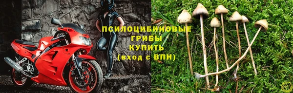 дурь Кодинск