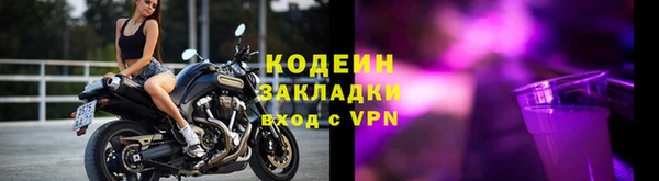 молекула духа Карпинск