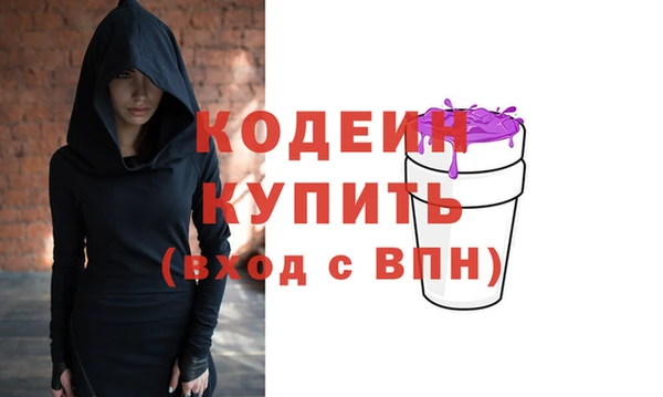 индика Козловка
