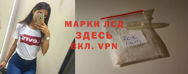 индика Козловка