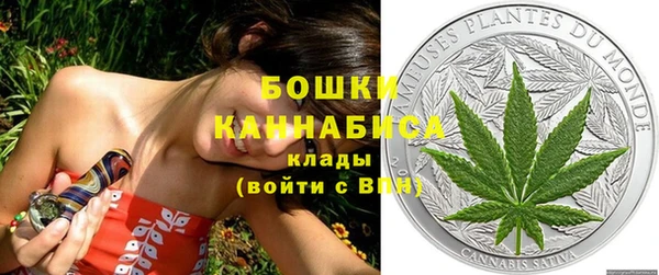 молекула духа Карпинск