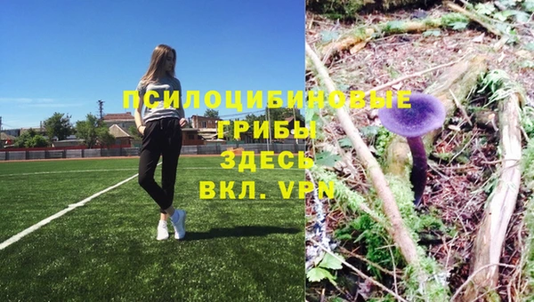 молекула духа Карпинск