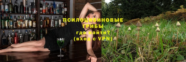 дурь Кодинск