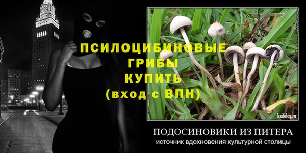 герыч Касимов