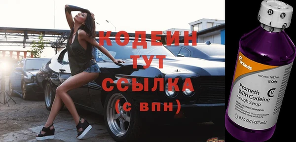 молекула духа Карпинск